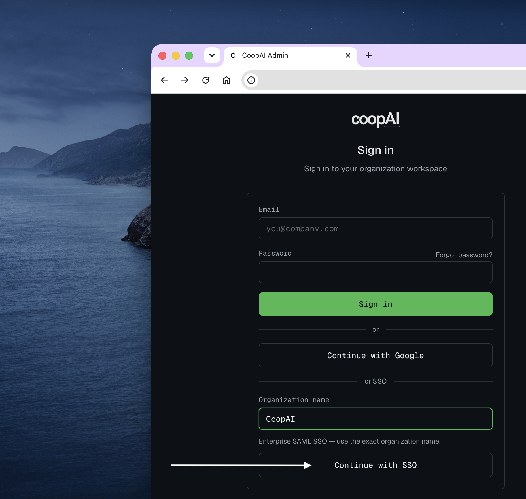 Admin portal sign-in — enter organization name and Continue with SSO